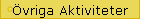 vriga Aktiviteter