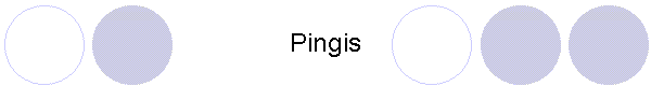 Pingis